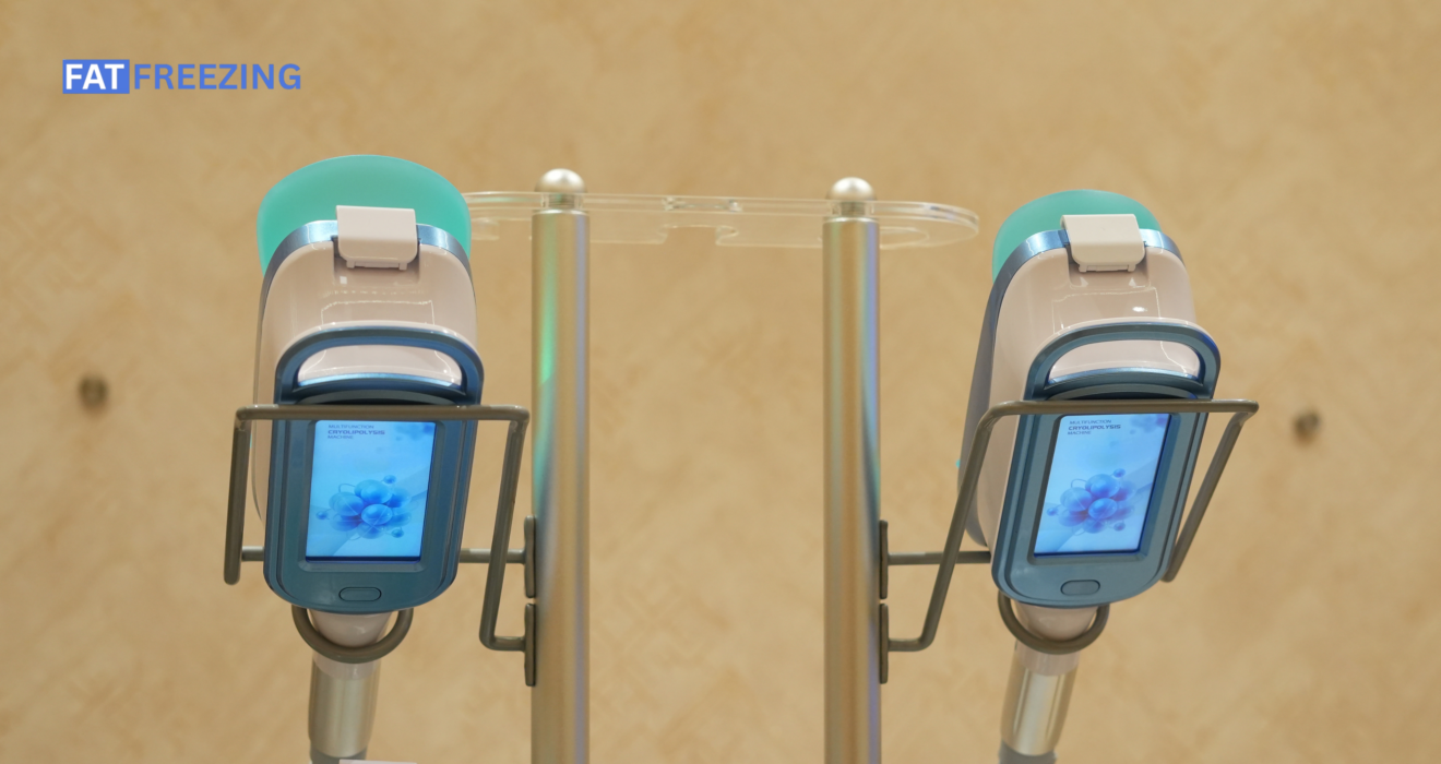Are Fat Freezing Results Permanent